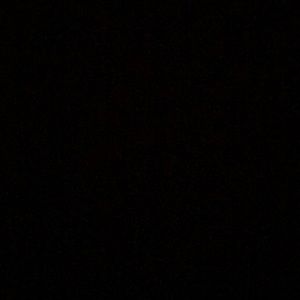 Meet your Posher, Audrey